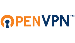 Openvpn